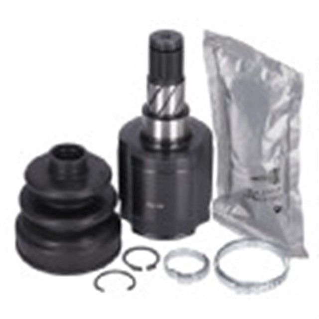 AKS KAFASI SETI TESLA