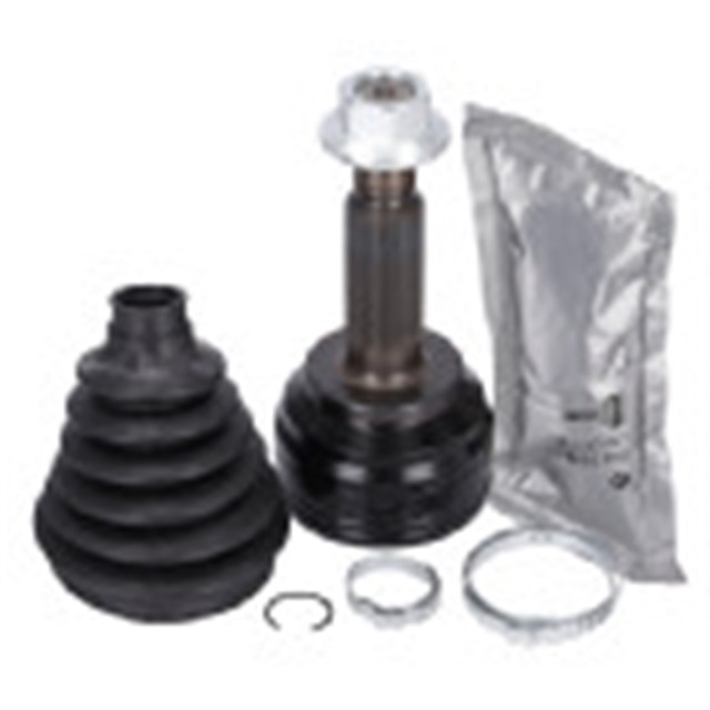 AKS KAFASI SETI TESLA