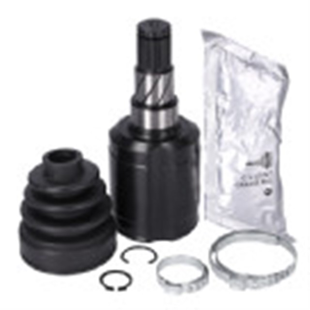 AKS KAFASI SETI TESLA