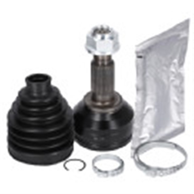 AKS KAFASI SETI TESLA