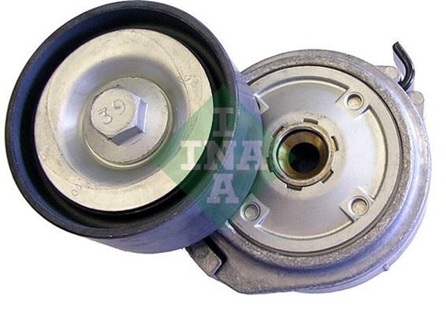 KAYIS GERDIRICI. KANALLI V KAYISI