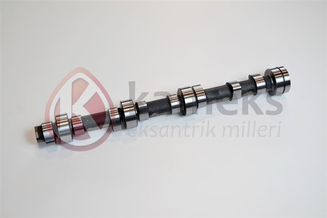 EKSANTRIK MILI 2.0 20N - 20S CIH DOKUM