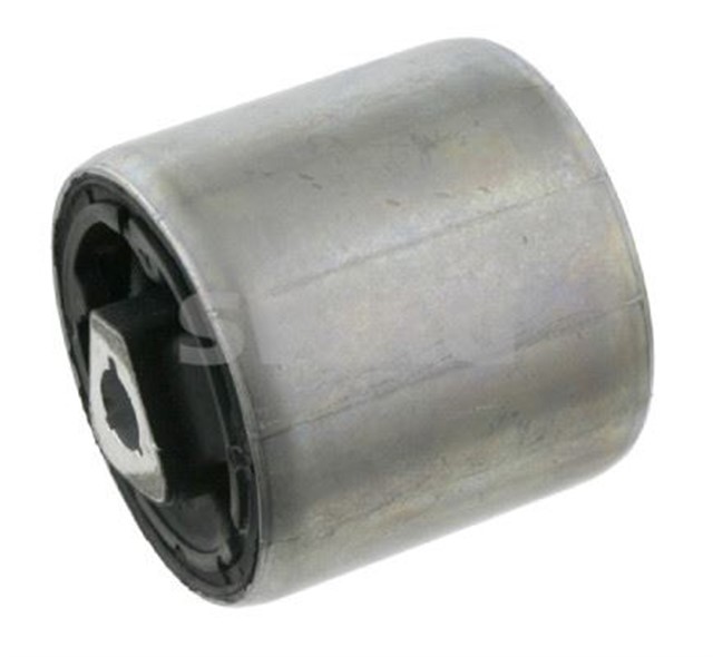 SALINCAK BURCU FEBI 23359