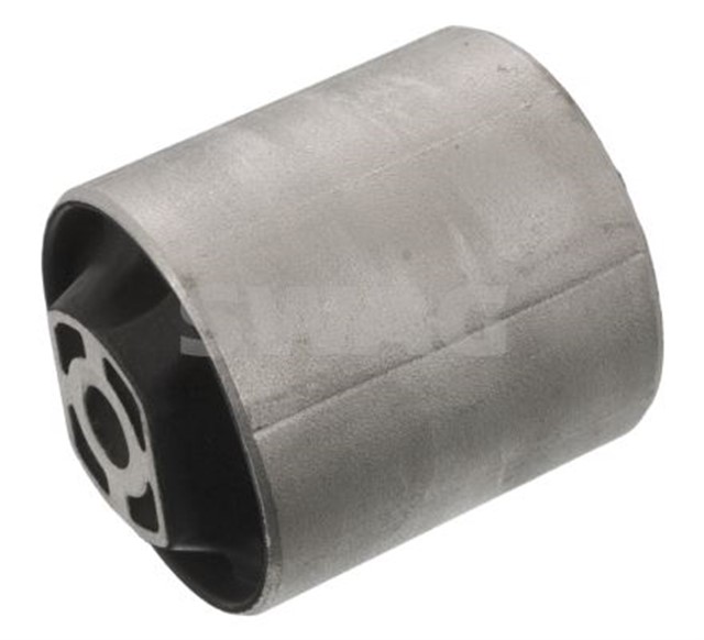 SALINCAK BURCU FEBI 30218