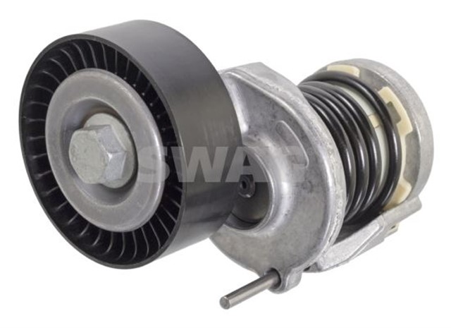 KAYIS GERGISI FEBI 104258