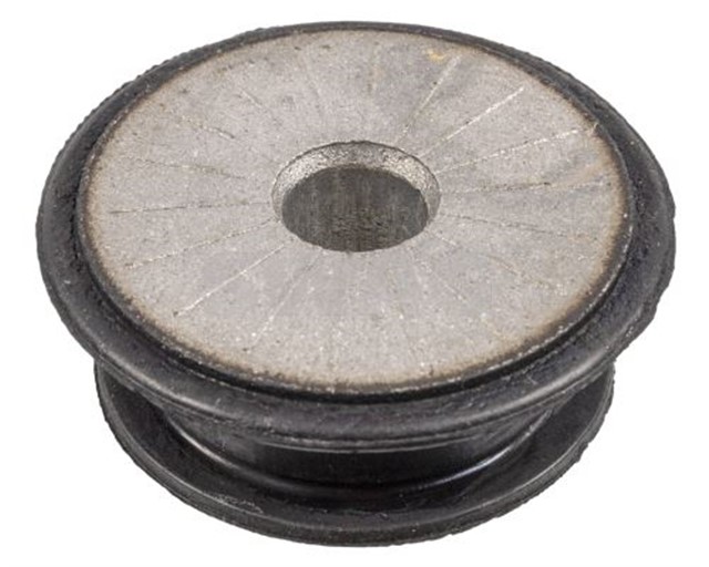 SALINCAK BURCU FEBI 106332