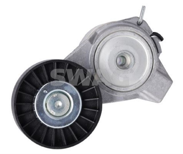 KAYIS GERGISI FEBI 19484