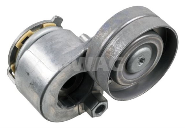 KAYIS GERGISI FEBI 32581