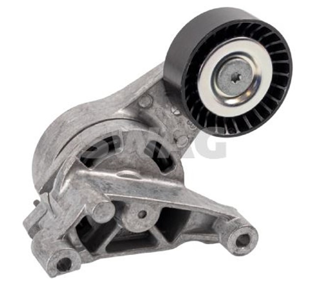 KAYIS GERGISI FEBI 27806