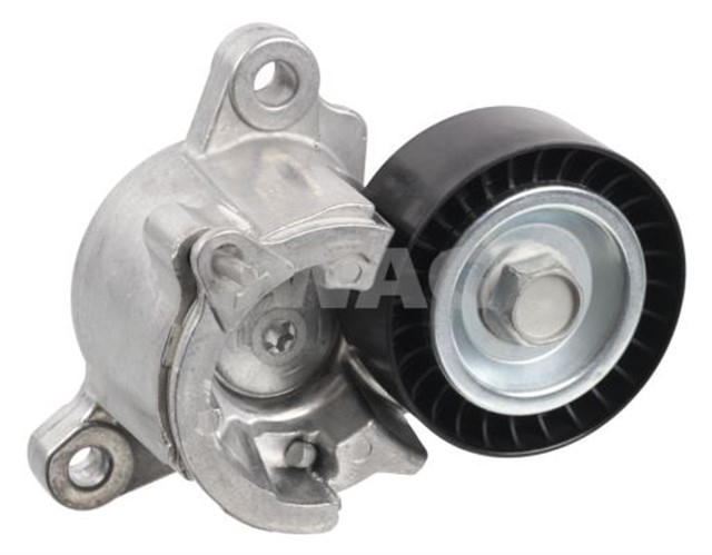 KAYIS GERGISI FEBI 36022