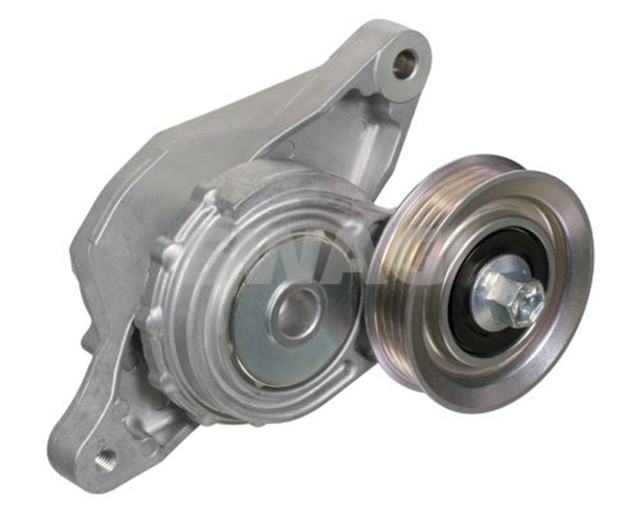 KAYIS GERGISI FEBI 102171