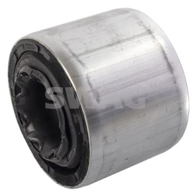 SALINCAK BURCU FEBI 173693