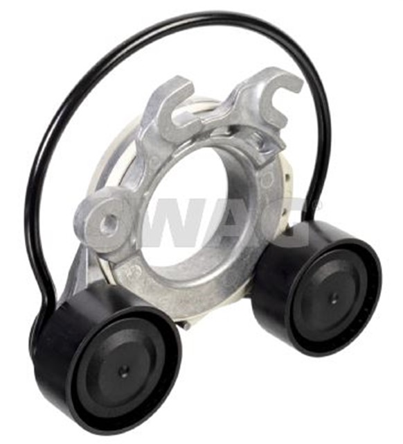 KAYIS GERGISI FEBI 176215