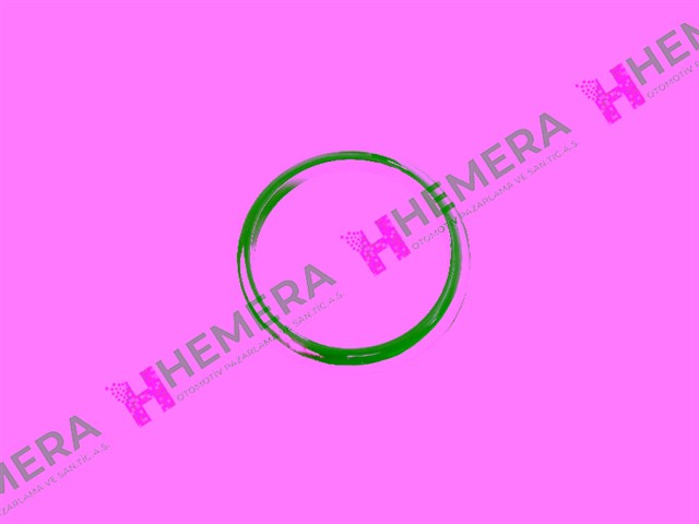 CERCEVE SIS FAR FORD C - MAX 2010 - 2015