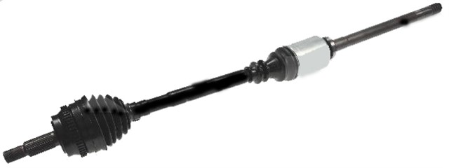 AKS KOMPLE SAG MASTER II 2.2 DCI ABS LI 01 - 10