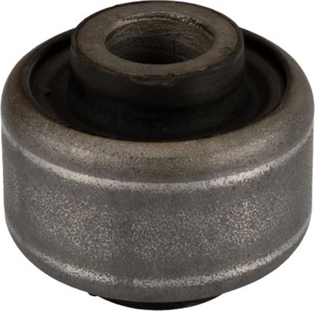 SALINCAK BURCU SOLSAG SAFRANE I 1992 - 1996