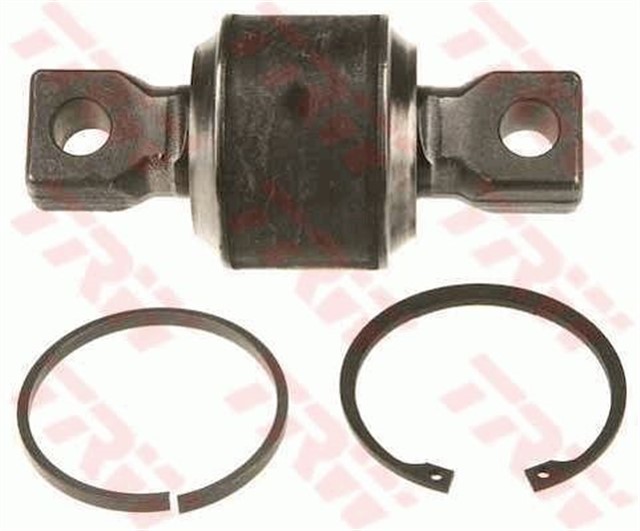 TAMIR SETI - BUGI KOLU