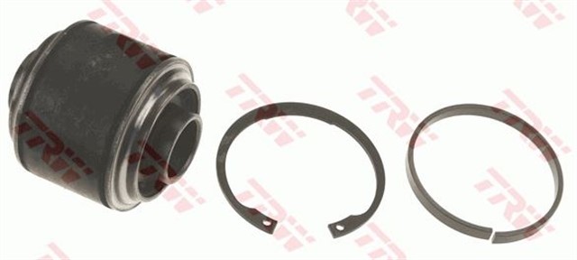 TAMIR SETI - BUGI KOLU