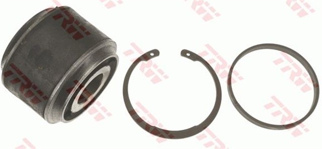 TAMIR SETI - BUGI KOLU