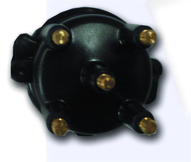 X DISTRUBITOR KAPAGI CLIO - EXP