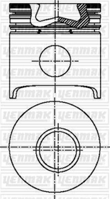 MOTOR PISTON SEGMAN MASTER - DAILY S9U 93.00 CAP STD