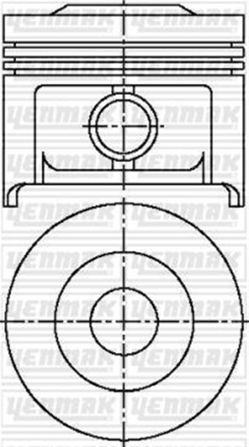 MOTOR PISTON SEGMAN STD 205 - 309
