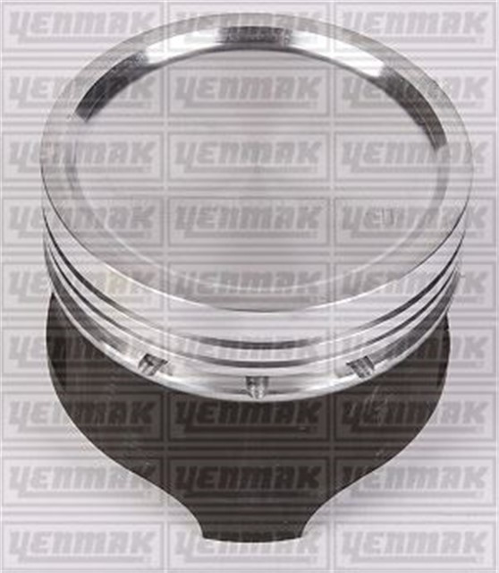MOTOR PISTON SEGMAN STD P309 - P405 - P309