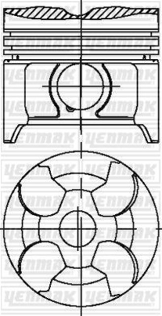 MOTOR PISTON SEGMAN STD C250D - E250D - E250TD - E300D - C200D
