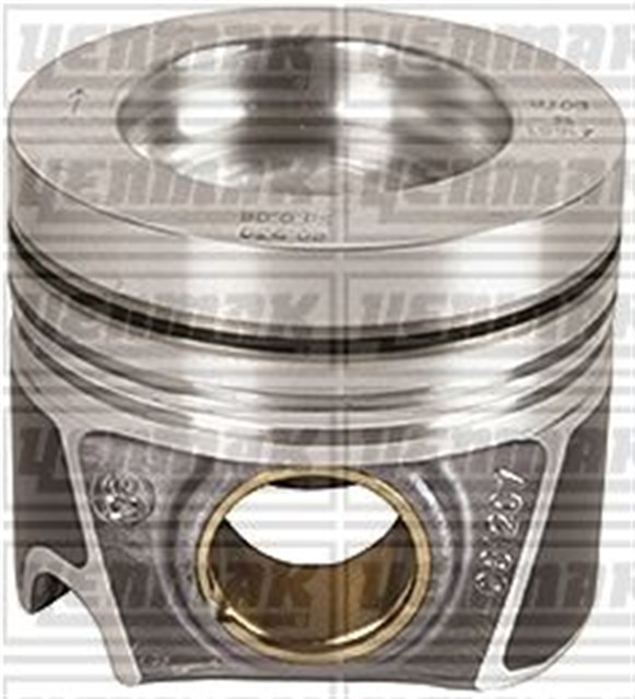 MOTOR PISTON SEGMAN CUNA - CUWA - CUNA - CUNA EURO6 CRGA - CRGB EURO4 81.01
