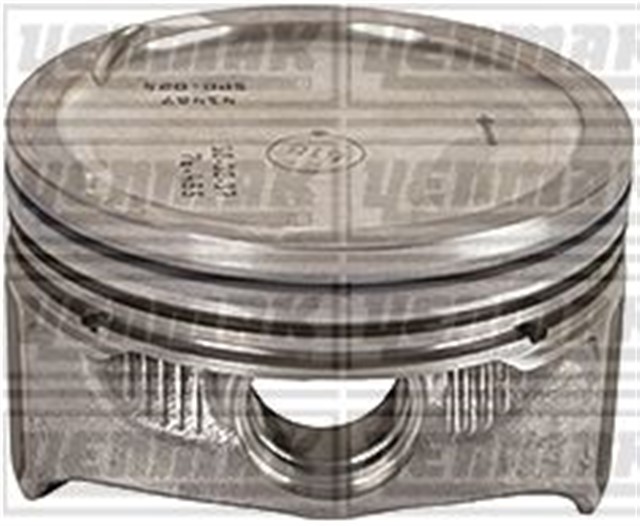 MOTOR PISTON SEGMAN CWVA EURO5 / CWVB EURO5 76.51