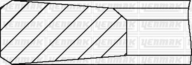 SEGMAN STD NISSAN 100MM