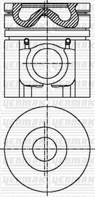 MOTOR PISTON SEGMAN STD NISSAN 100MM