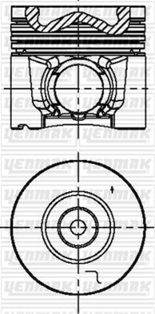PISTON SEGMAN STD D - MAX EURO5 4JJ1 12 - 8981800181