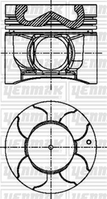 PISTON SEGMAN STD 2 - 4 L200 CR 10 - 15 EURO5 1110C703