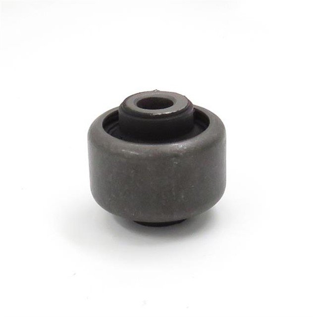 SALINCAK BURCU C5 III - C6 08 - 