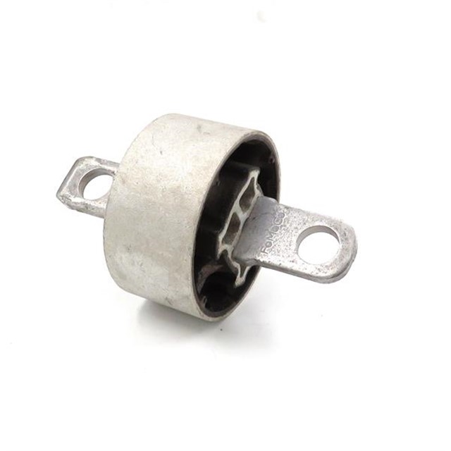 SALINCAK BURCU FOCUS IV