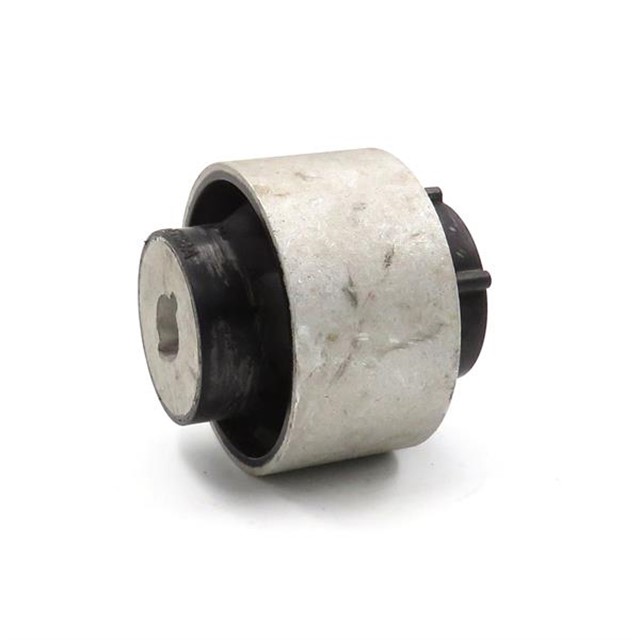 SALINCAK BURCU FOCUS IV