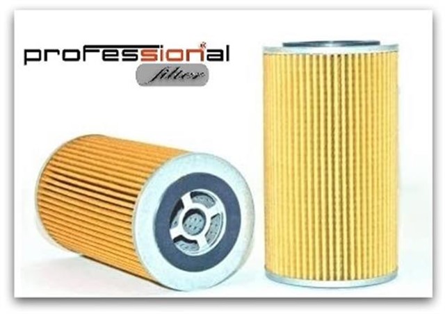 X YAG FILTRESI NPR KAMYONET EM