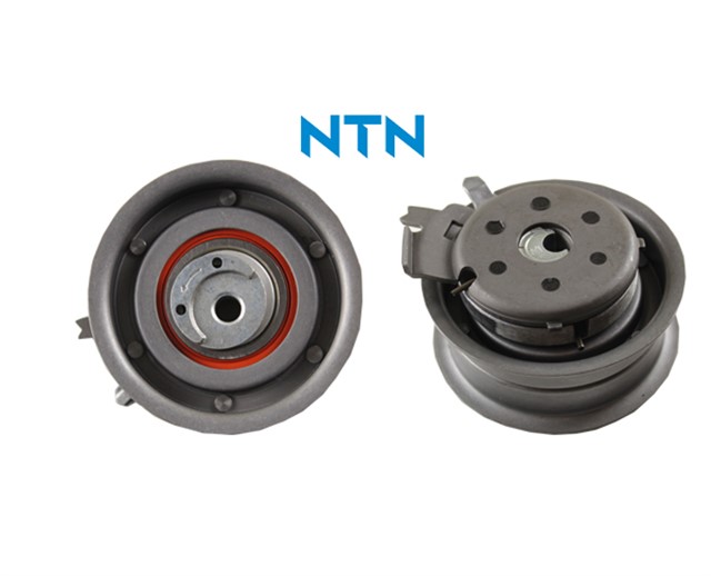 EKSANTRIK GERGI RULMANI T5 - CADDY III - PASSAT - GOLF - JETTA III - POLO - BORA - TOCORDOBA - IBIZA 1.4 16V - 1.6 16V